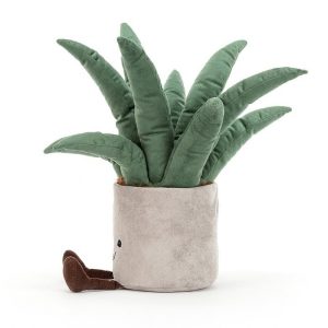 Amuseable Aloe Vera | XBPOC9425
