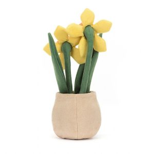 Amuseable Daffodil Pot | NSMHX3978