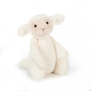 Bashful Lamb Medium | FKDRM5463