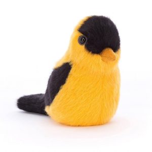 Birdling Goldfinch | NHTYO9428