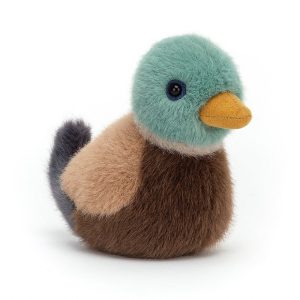 Birdling Mallard | RMLON0158