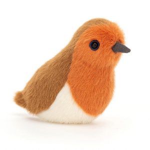 Birdling Robin | NZRCE6129