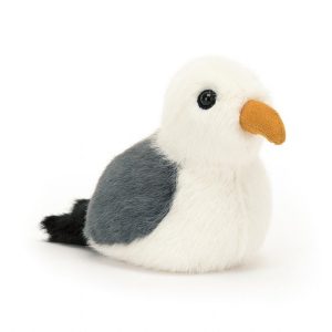 Birdling Seagull | SEDJI0392