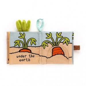 Carrot Book | HPUVS4067