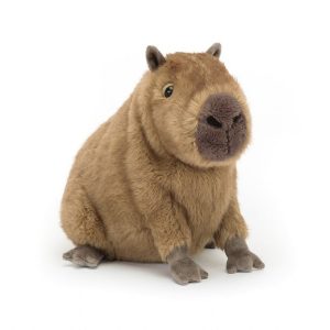 Clyde Capybara | UBMRS0712