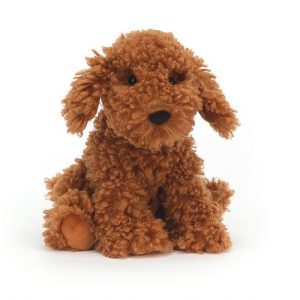 Cooper Doodle Dog | YAEBK8240