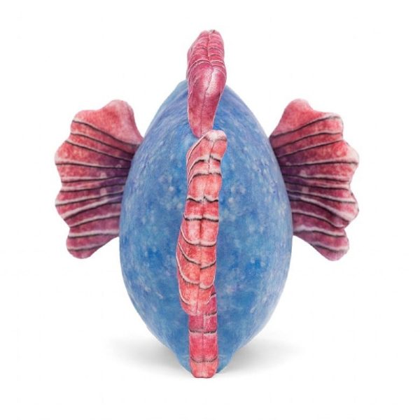 Jellycat_Fishiful_Blue__LTGYN9021_1200_2_ZOOM