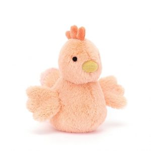Fluffy Chicken | RZNKC1495