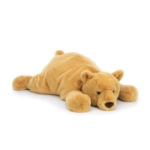 Harvey Bear | YKIPV5170