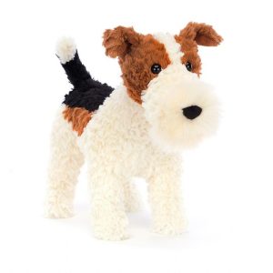 Hector Fox Terrier | WDPBK9837