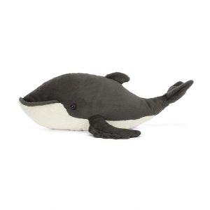 Humphrey the Humpback Whale | HZRUS8652