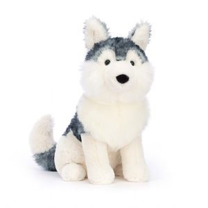 Jackson Husky | XQDOG1398