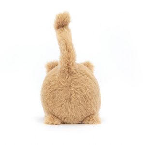 Kitten Caboodle Ginger | PERQJ5409