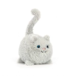 Kitten Caboodle Grey | LMTWC5287