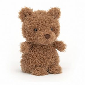 Little Bear | AYMNV9617