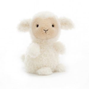 Little Lamb | HVBQN0398
