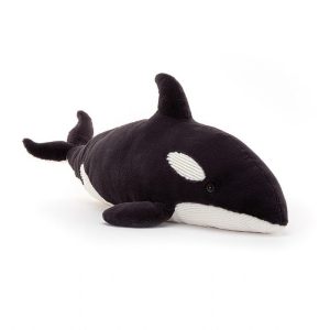 Ollivander the Orca | RCSOE7425
