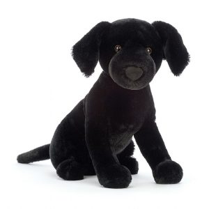 Pippa Black Labrador | QTXOD2367