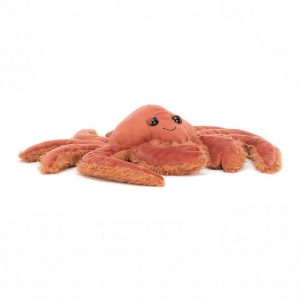 Spindleshanks Crab | IUSVM0792