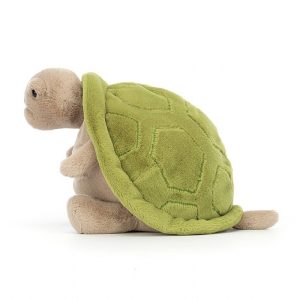 Timmy Turtle | CPFRY1862