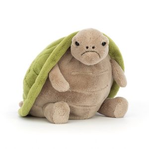 Timmy Turtle | CPFRY1862