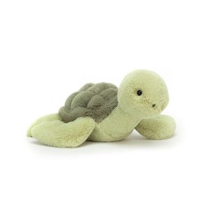 Tully Turtle | NELVM2685